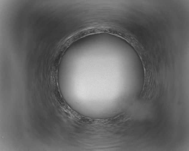 X0000081410773200701120917