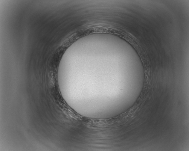 X0000081410774200701120917