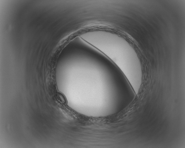 X0000081410775200701120917