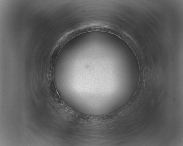 X0000081410776200701120917