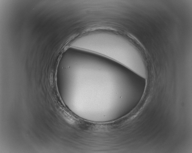 X0000081410777200701120917