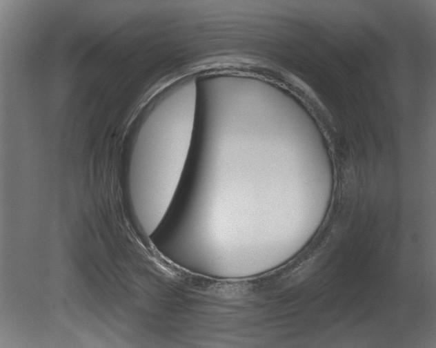X0000081410778200701120917