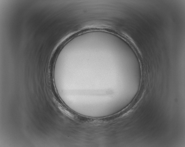 X0000081410779200701120917