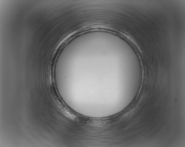 X0000081410782200701120917