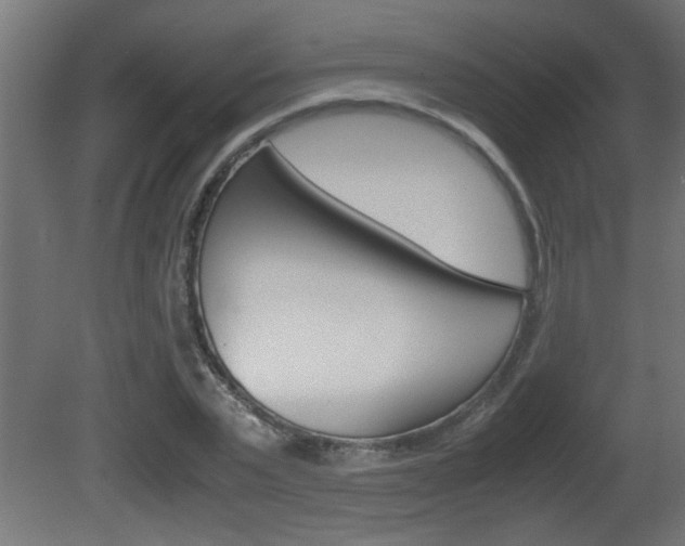 X0000081410783200701120917