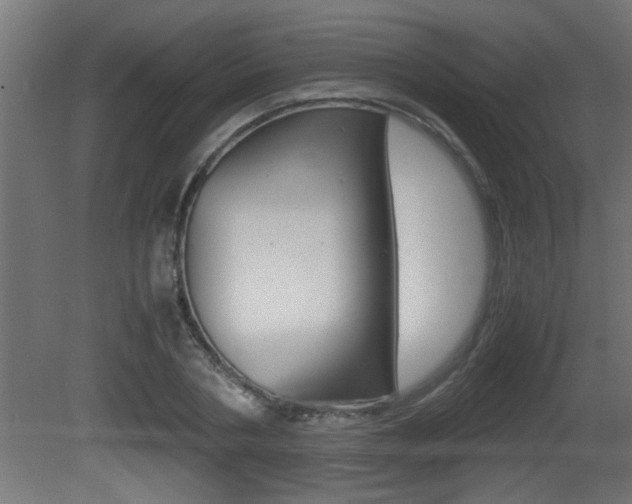 X0000081410786200701120917