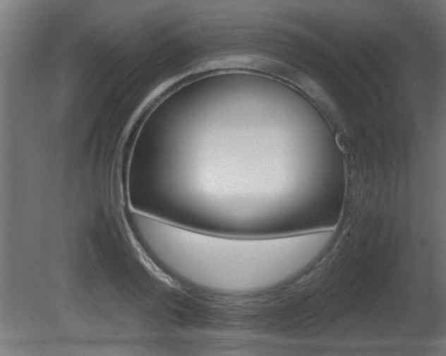 X0000081410792200701120916
