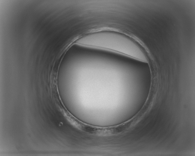X0000081410793200701120916