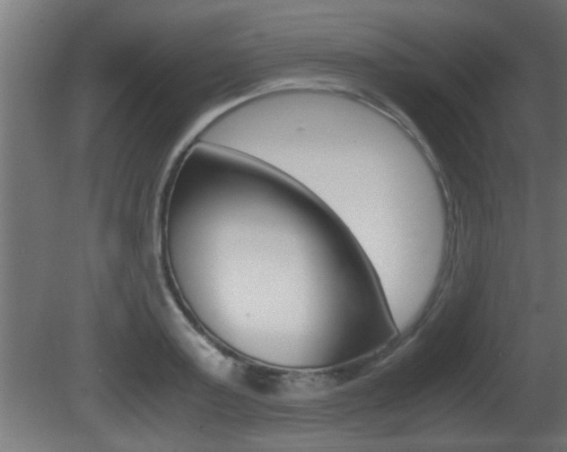 X0000081410795200701120916