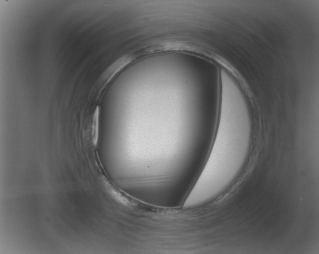 X0000081410801200701120916