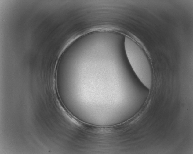 X0000081410802200701120916