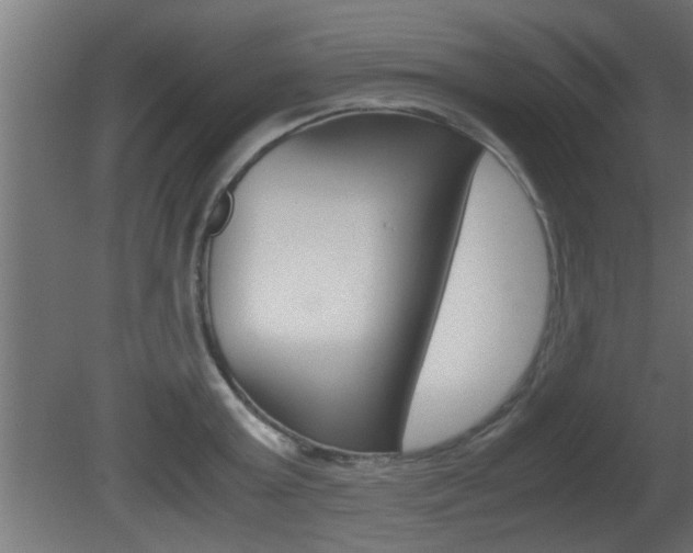 X0000081410803200701120916