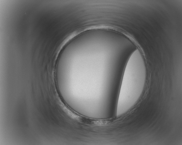 X0000081410805200701120916