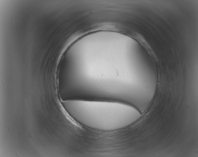 X0000081410808200701120916