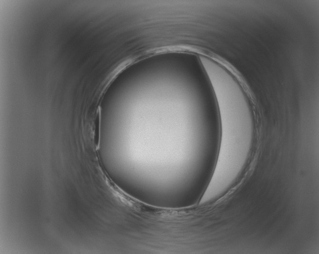 X0000081410809200701120916