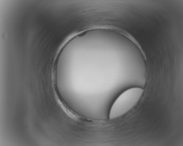 X0000081410811200701120916