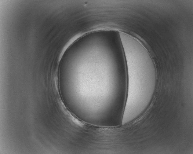X0000081410812200701120916