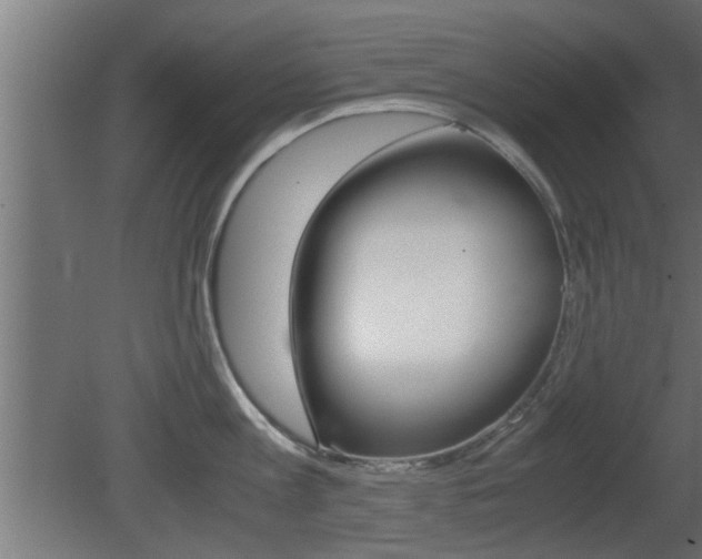 X0000081410813200701120916
