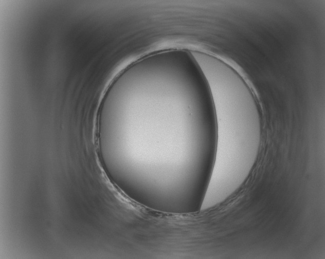 X0000081410815200701120916