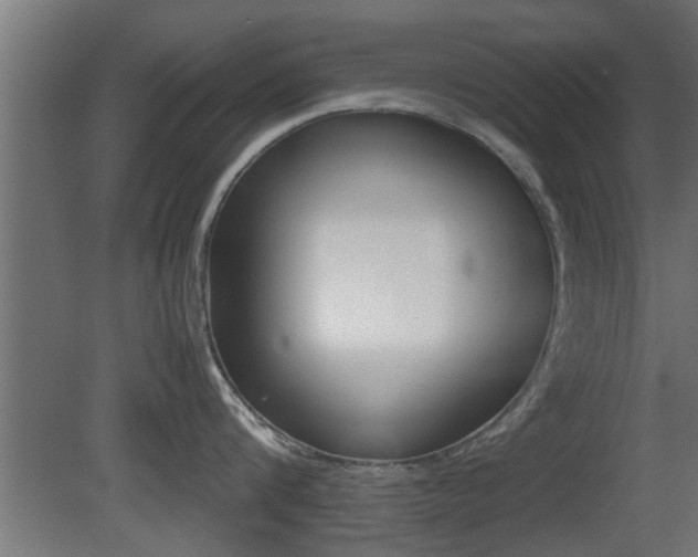 X0000081410816200701120916