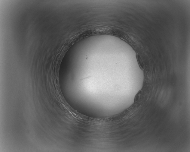 X0000081410817200701120915