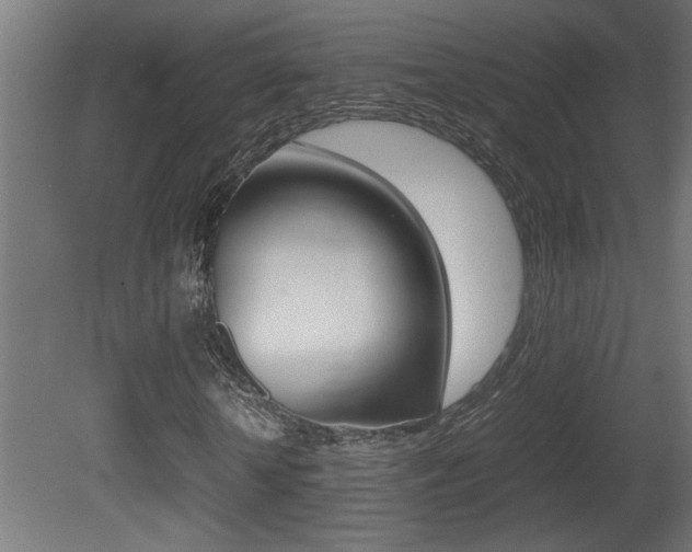 X0000081410818200701120915