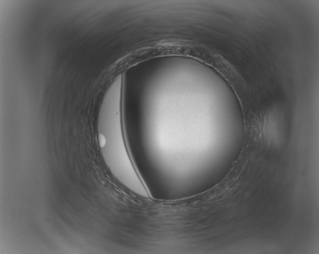X0000081410821200701120915