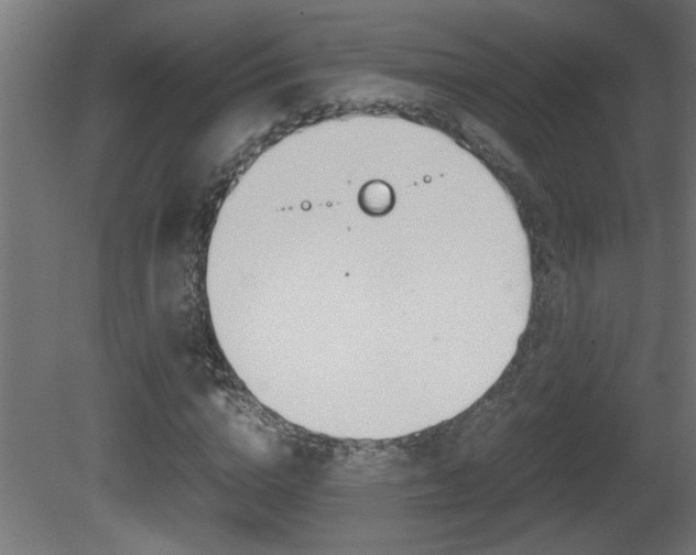 X0000081410824200701120915