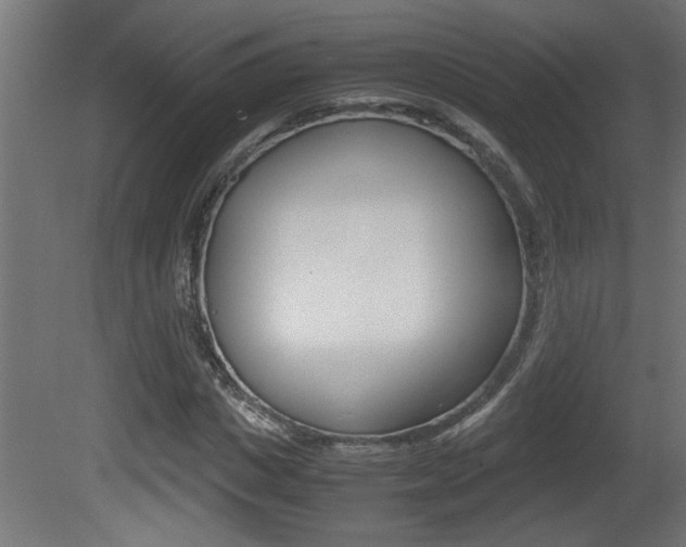 X0000081410825200701120915