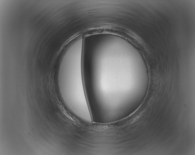 X0000081410826200701120915
