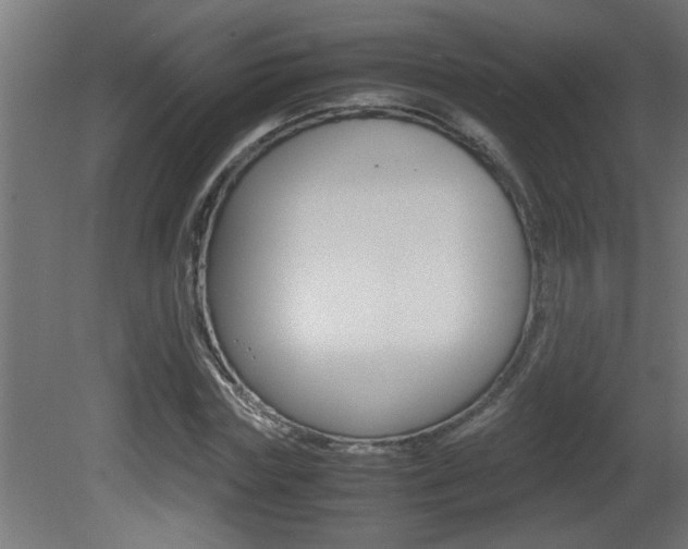 X0000081410827200701120915
