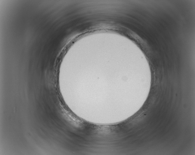 X0000081410828200701120915