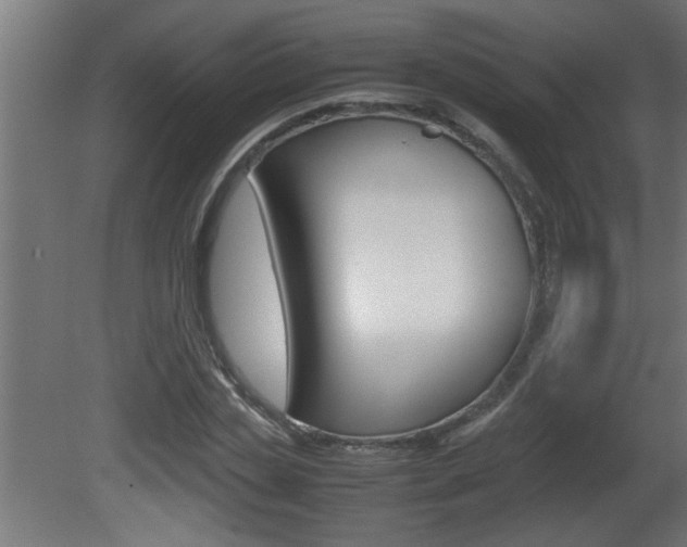X0000081410829200701120915