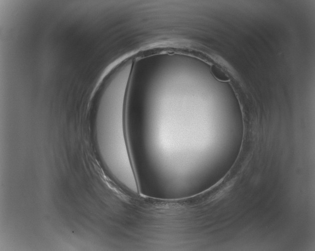 X0000081410830200701120915