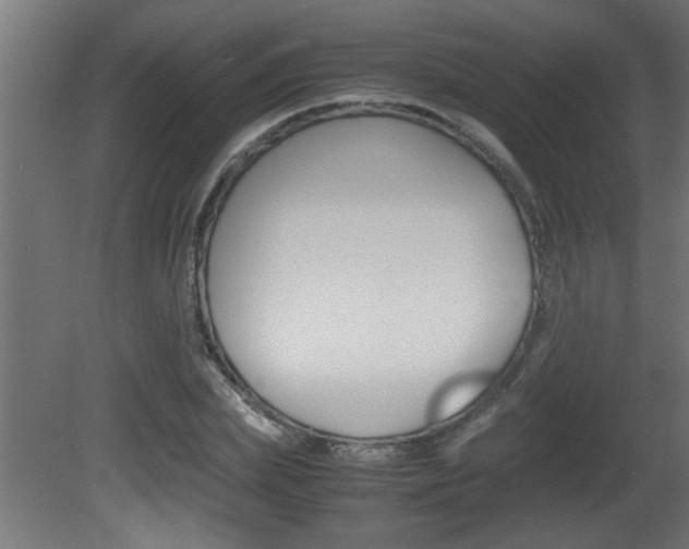 X0000081410831200701120916