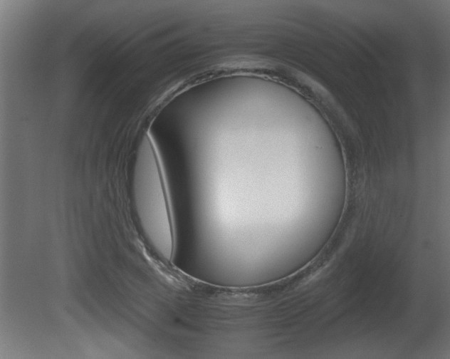 X0000081410833200701120916