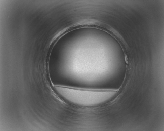 X0000081410834200701120916