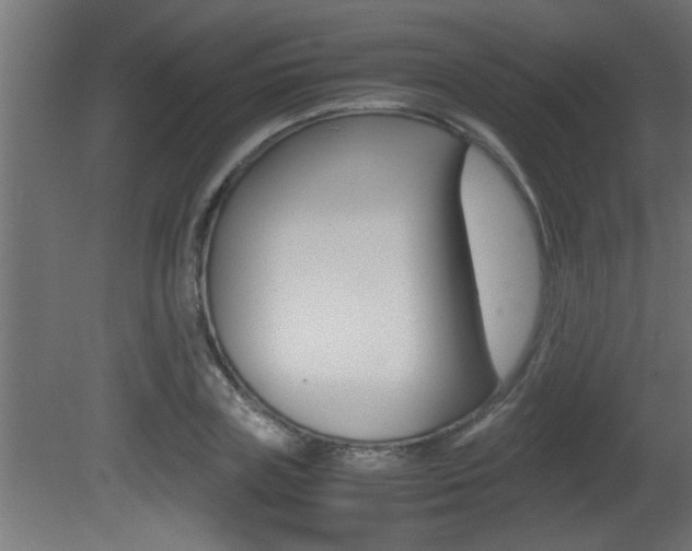 X0000081410835200701120916