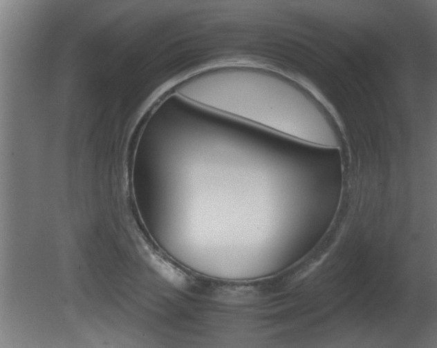 X0000081410837200701120916