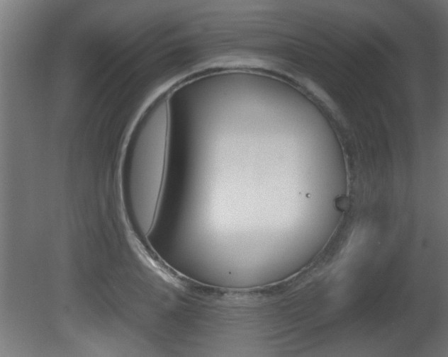 X0000081410840200701120916