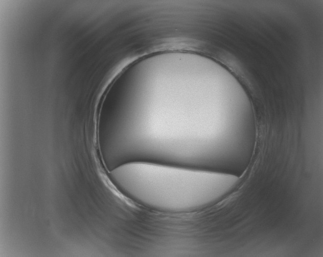 X0000081410844200701120916