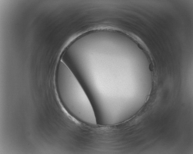X0000081410847200701120916