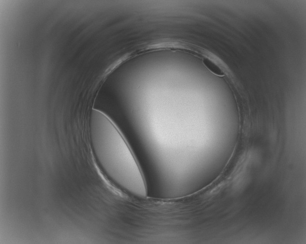 X0000081410849200701120916