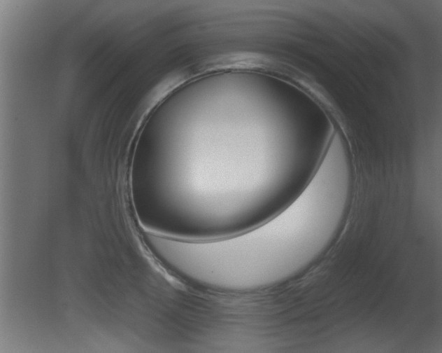 X0000081410850200701120916