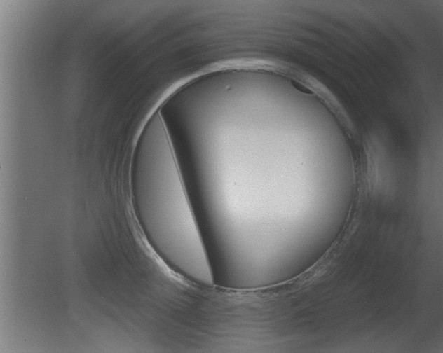 X0000081410852200701120916