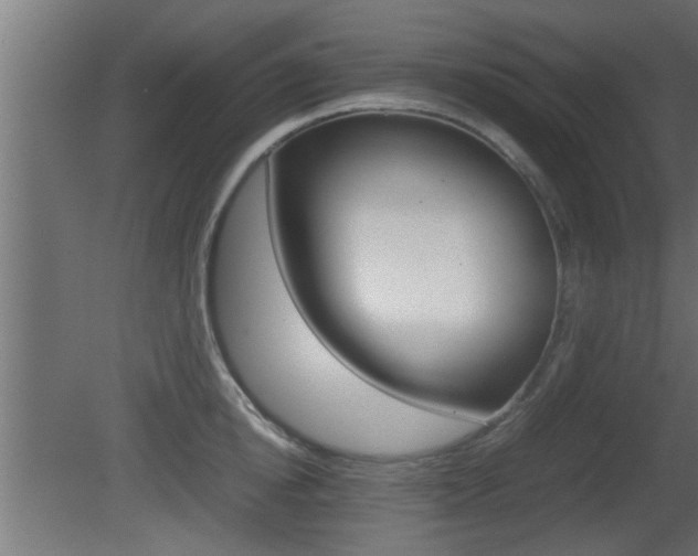 X0000081410854200701120916
