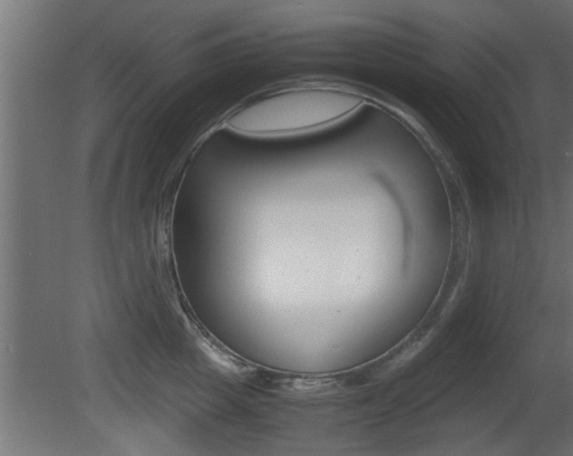 X0000081410857200701120916