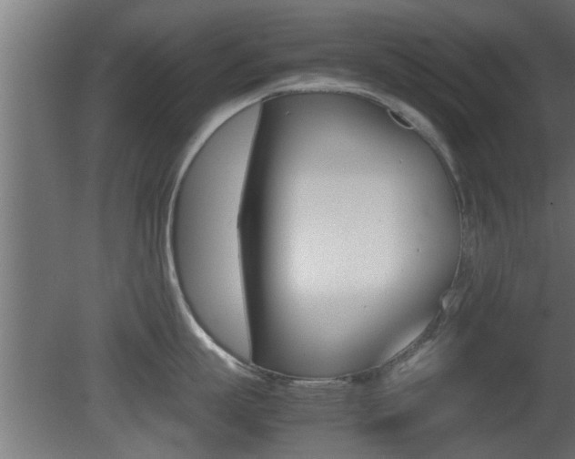 X0000081410863200701120916