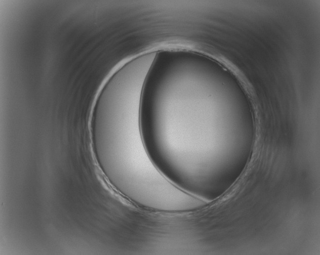 X0000081410864200701120916