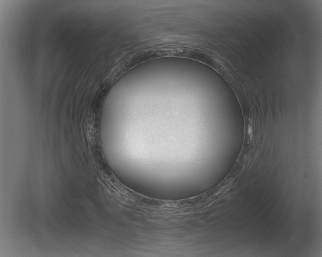 X0000081410867200701120915